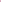 Fuchsia Wrap