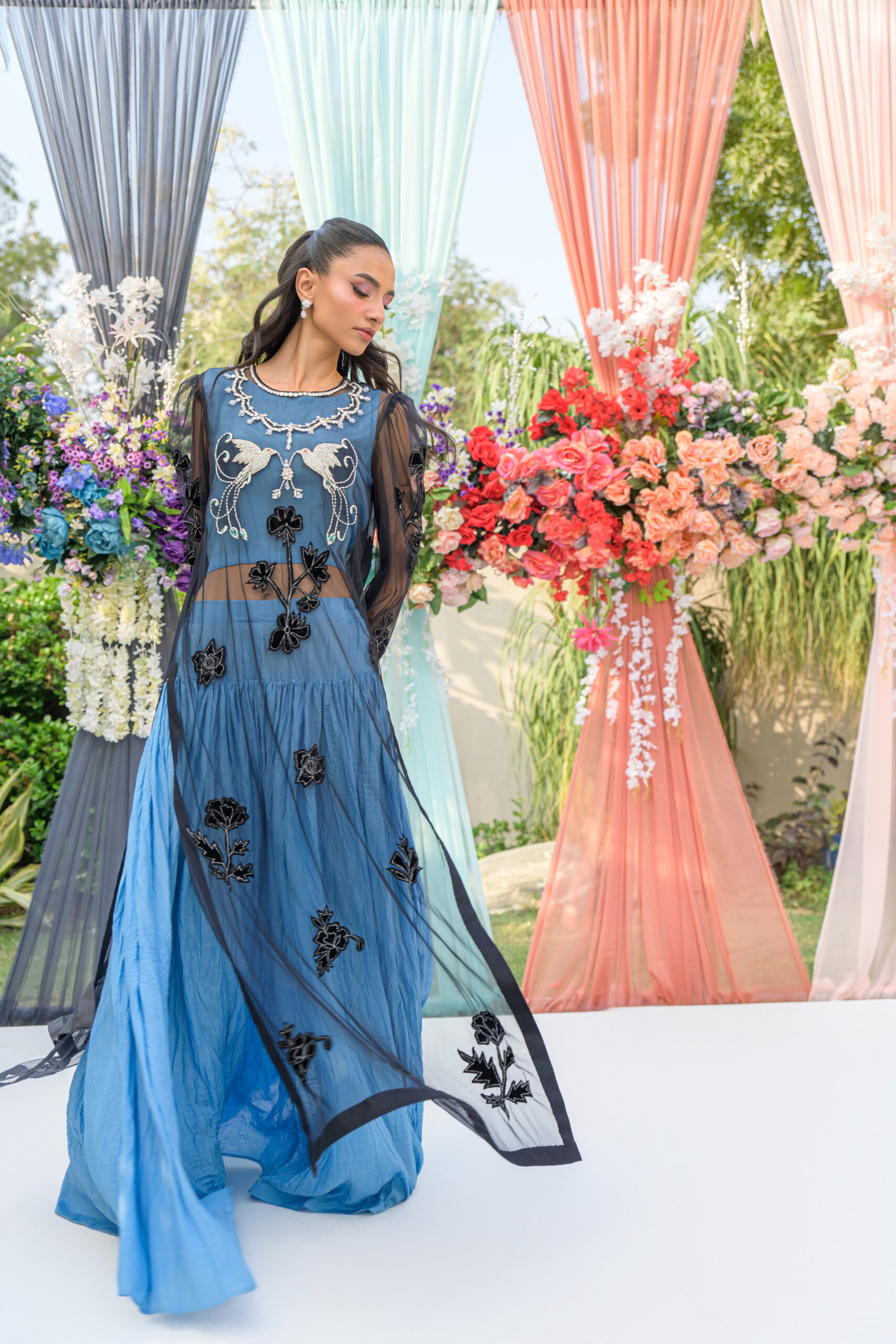 Noir Blue Bird - Image 3